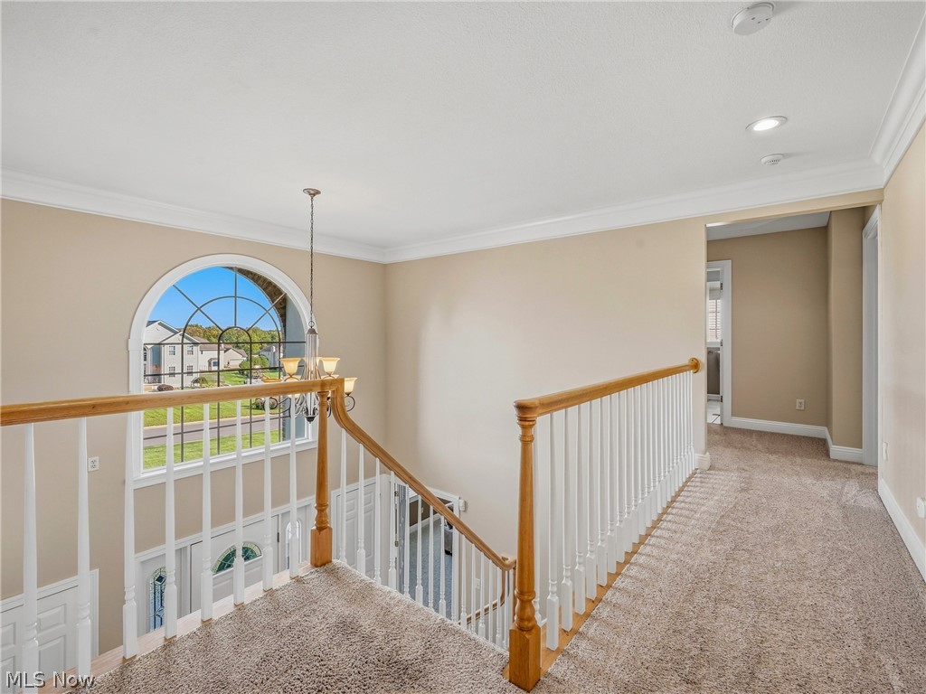 1055 Fox Den Trail Canfield OH 44406