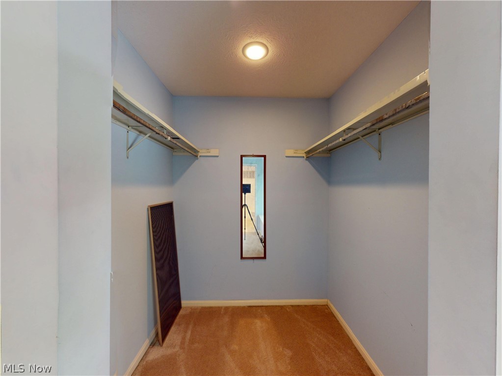 6038 Walden Court Mentor OH 44060