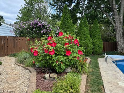 559 Berkshire Drive Medina OH 44256