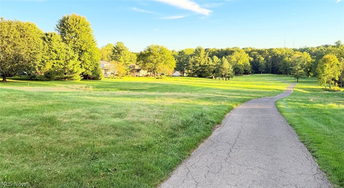 17315 Long Meadow Trail Chagrin Falls OH 44022