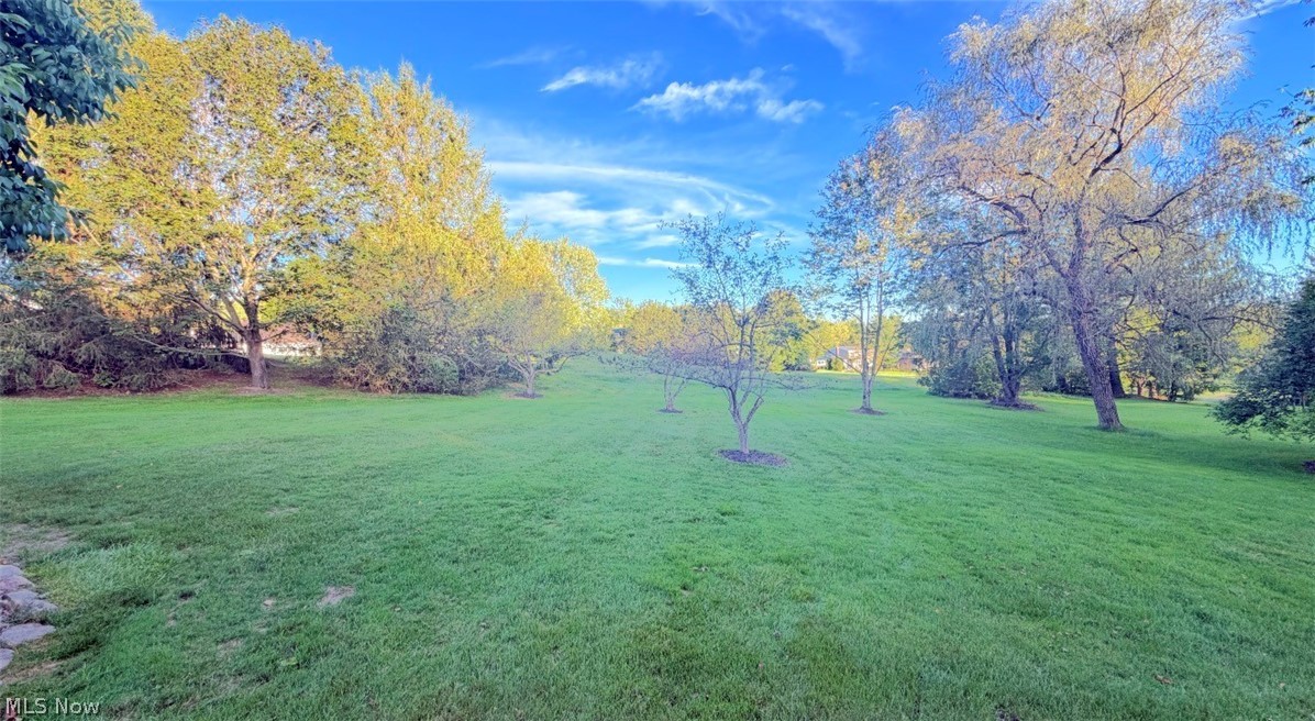 17315 Long Meadow Trail Chagrin Falls OH 44022