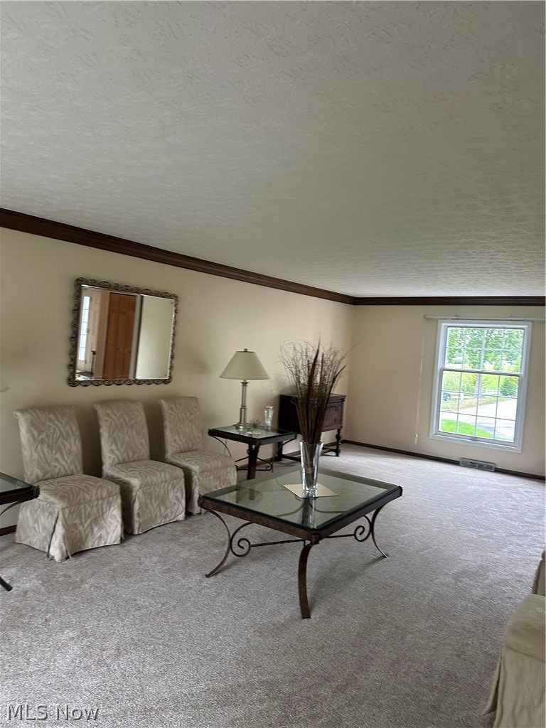 17315 Long Meadow Trail Chagrin Falls OH 44022