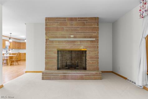 238 Pheasant Drive Mogadore OH 44260