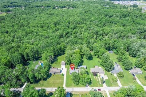 24270 Forestview Drive Columbia Station OH 44028