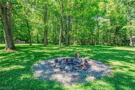 24270 Forestview Drive Columbia Station OH 44028