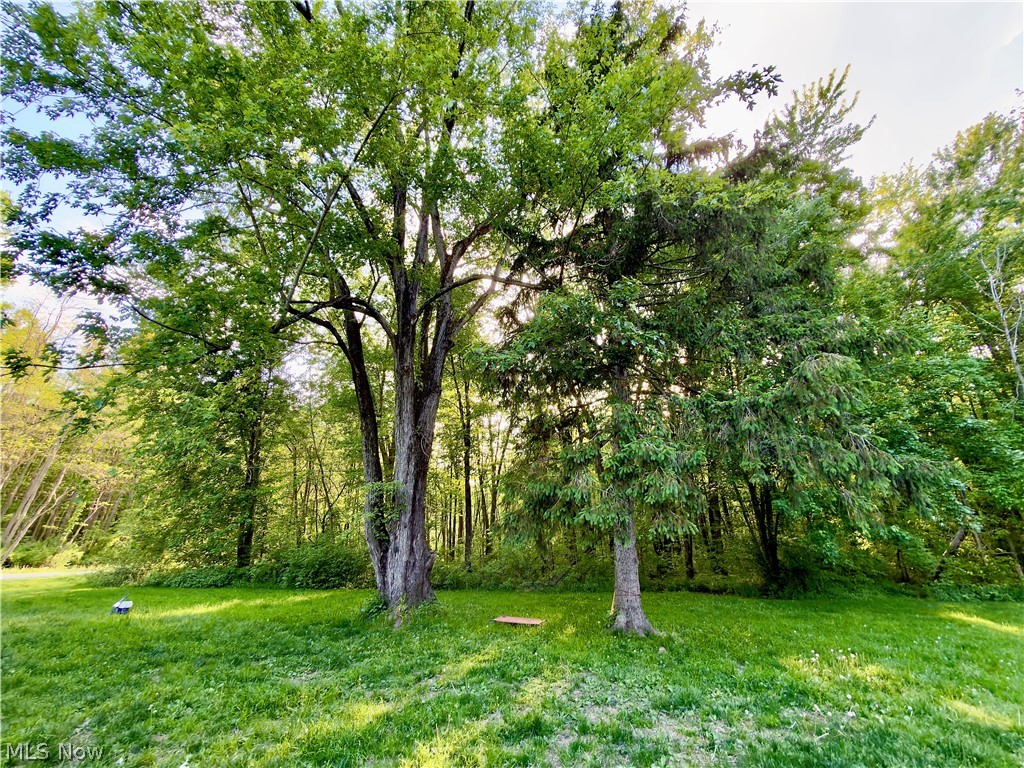 557 North Avenue Geneva OH 44041