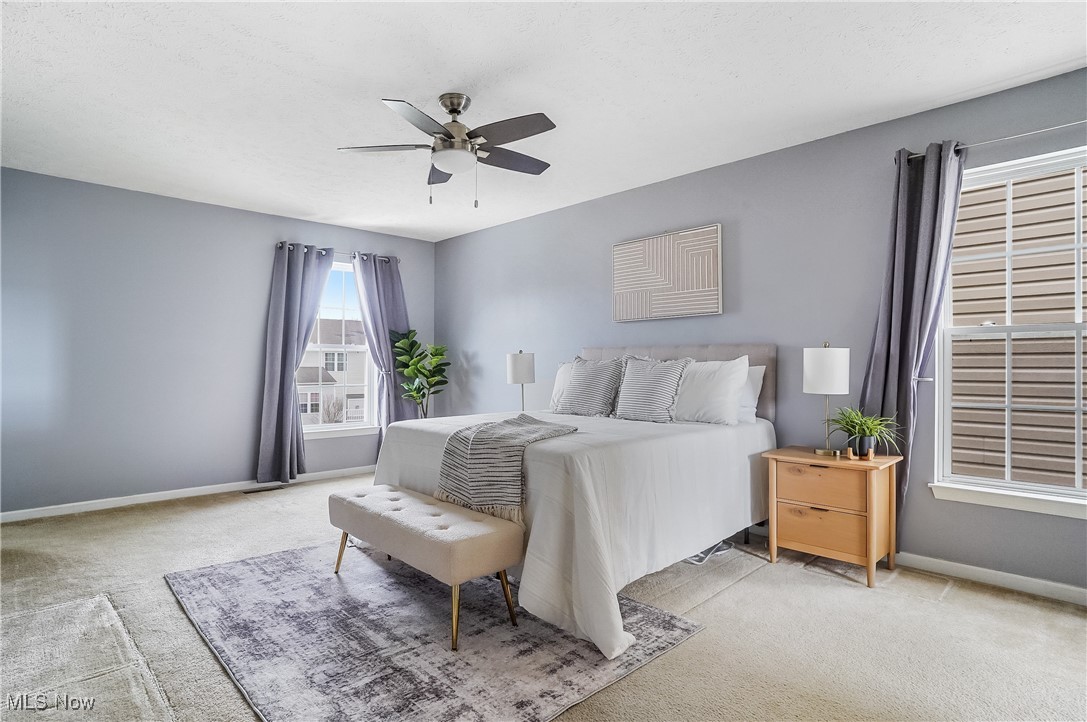 10593 Penny Lane Aurora OH 44202