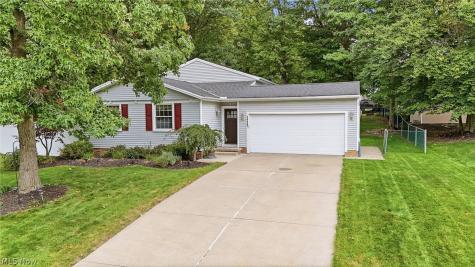 10487 Belleau Drive Twinsburg OH 44087