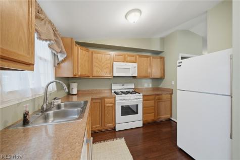 10487 Belleau Drive Twinsburg OH 44087
