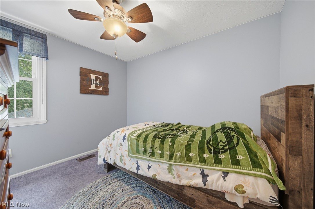10487 Belleau Drive Twinsburg OH 44087