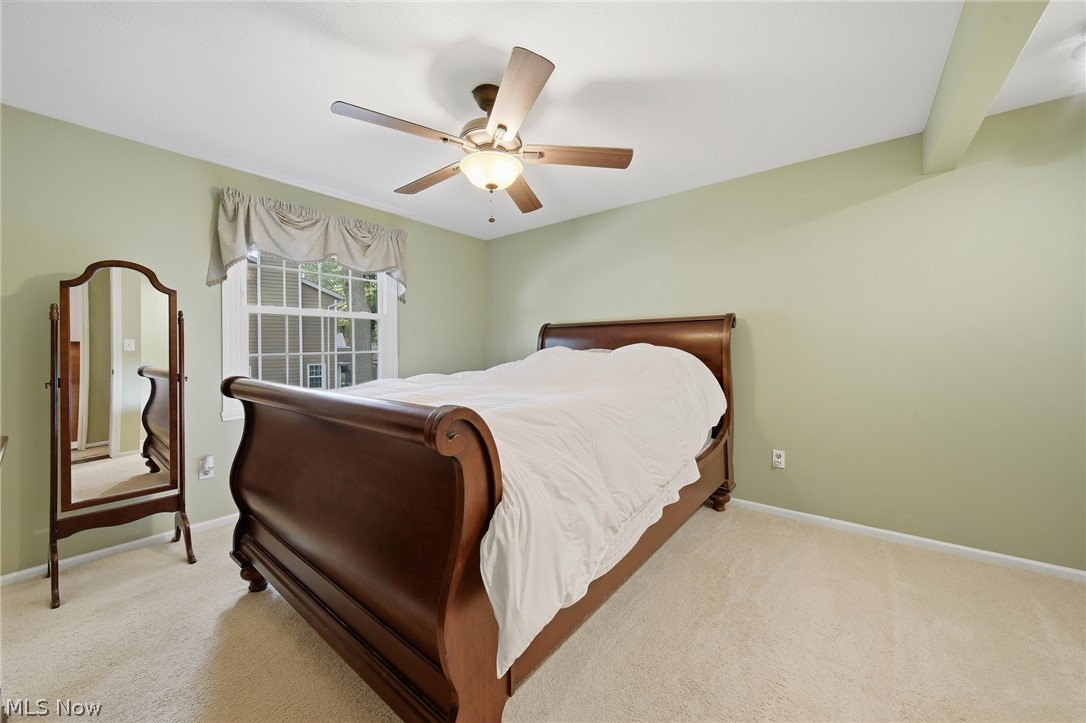 10487 Belleau Drive Twinsburg OH 44087