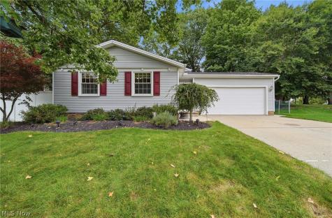 10487 Belleau Drive Twinsburg OH 44087