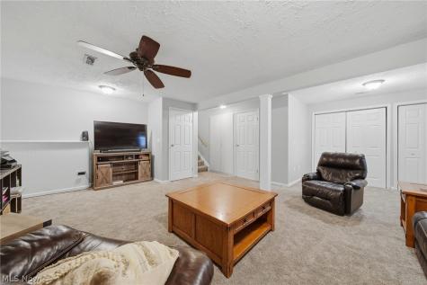 10487 Belleau Drive Twinsburg OH 44087