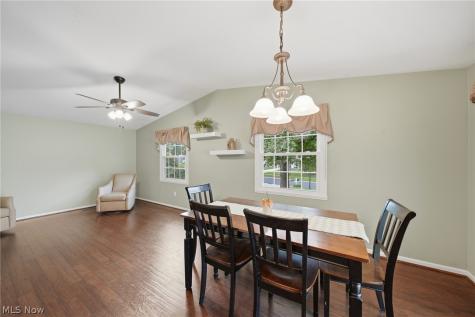 10487 Belleau Drive Twinsburg OH 44087