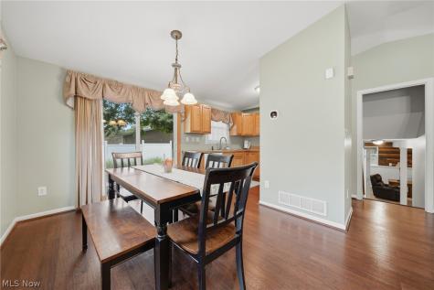 10487 Belleau Drive Twinsburg OH 44087