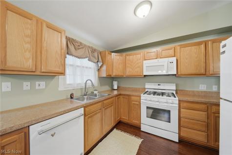 10487 Belleau Drive Twinsburg OH 44087