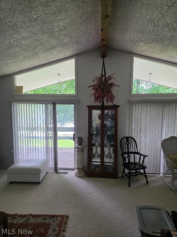 47903 Tomahawk Drive Negley OH 44441