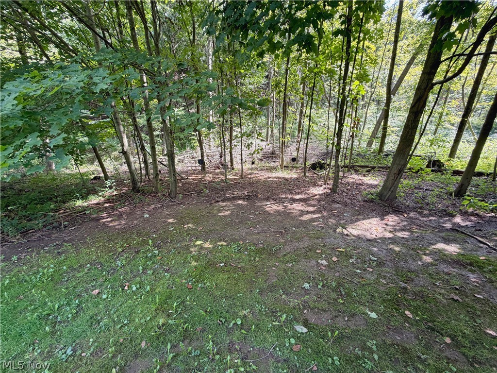 44073 Bell Road Lisbon OH 44432