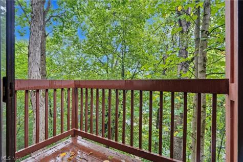 849 Belleau Wood Drive Akron OH 44303