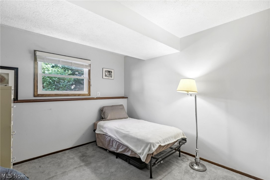 889 Bacon Road Painesville Township OH 44077