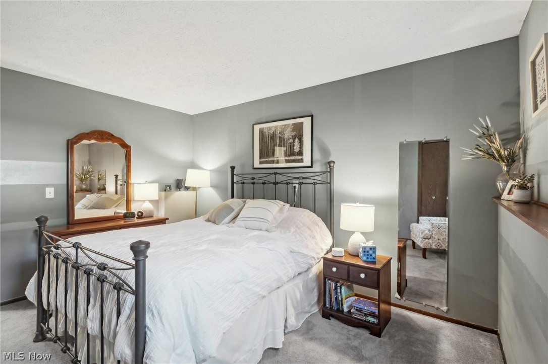 889 Bacon Road Painesville Township OH 44077