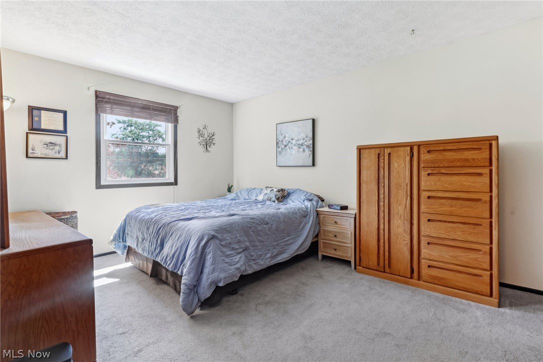 889 Bacon Road Painesville Township OH 44077