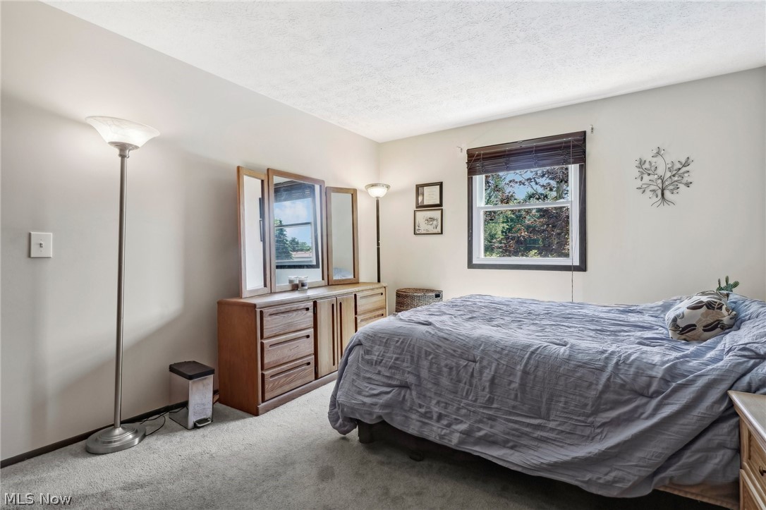 889 Bacon Road Painesville Township OH 44077