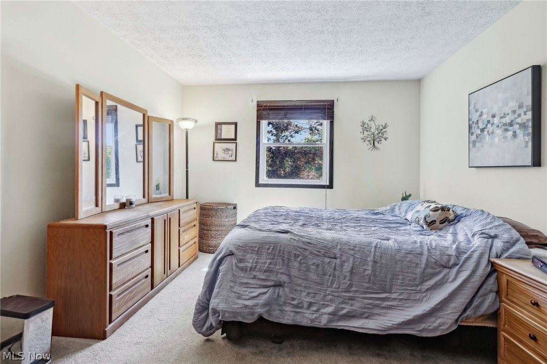 889 Bacon Road Painesville Township OH 44077