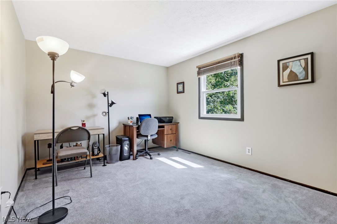 889 Bacon Road Painesville Township OH 44077