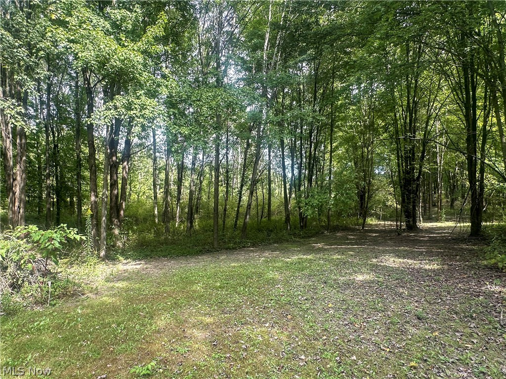 7706 State Route 46 Cortland OH 44410