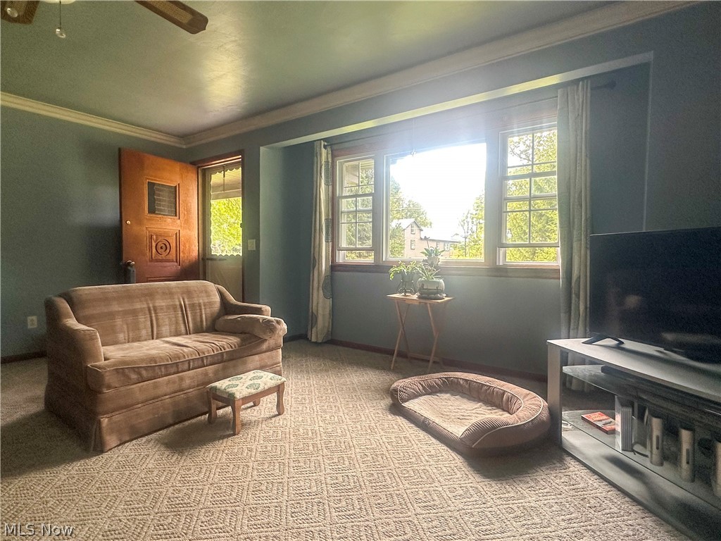 7706 State Route 46 Cortland OH 44410