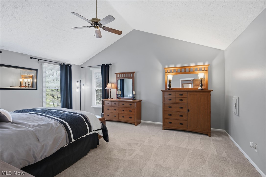 7336 Herrick Park Drive Hudson OH 44236