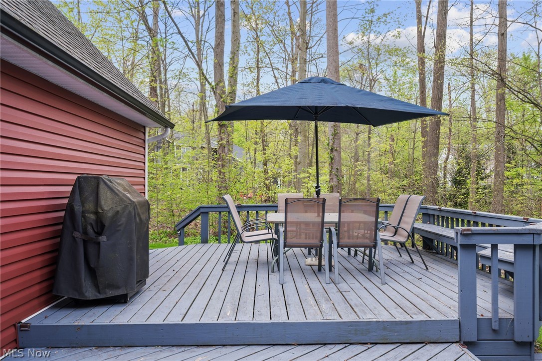 7336 Herrick Park Drive Hudson OH 44236