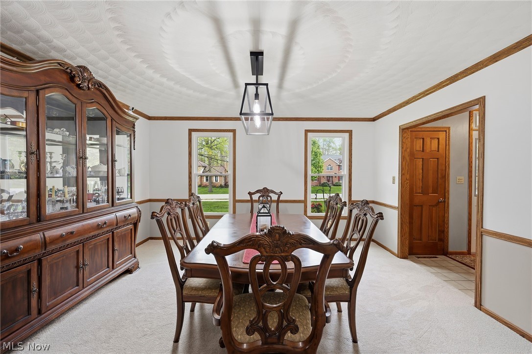 7336 Herrick Park Drive Hudson OH 44236