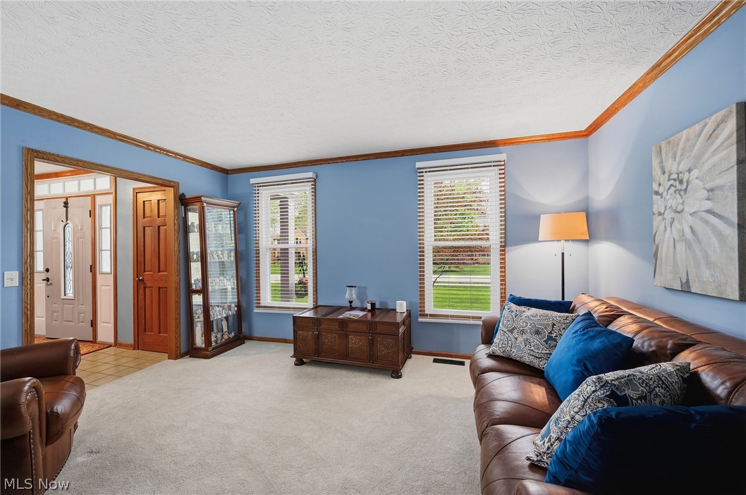 7336 Herrick Park Drive Hudson OH 44236