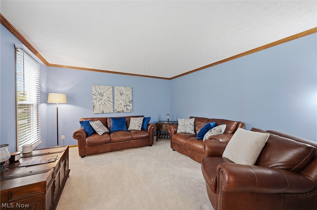 7336 Herrick Park Drive Hudson OH 44236