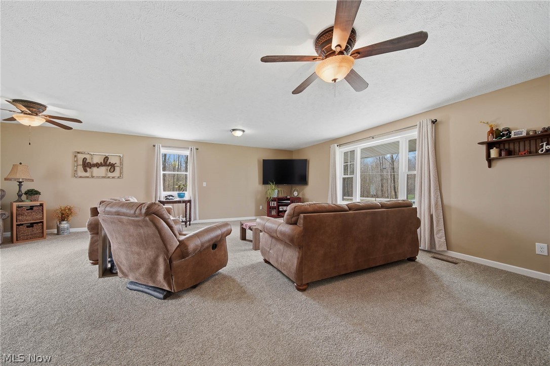 9934 State Route 700 Mantua OH 44255
