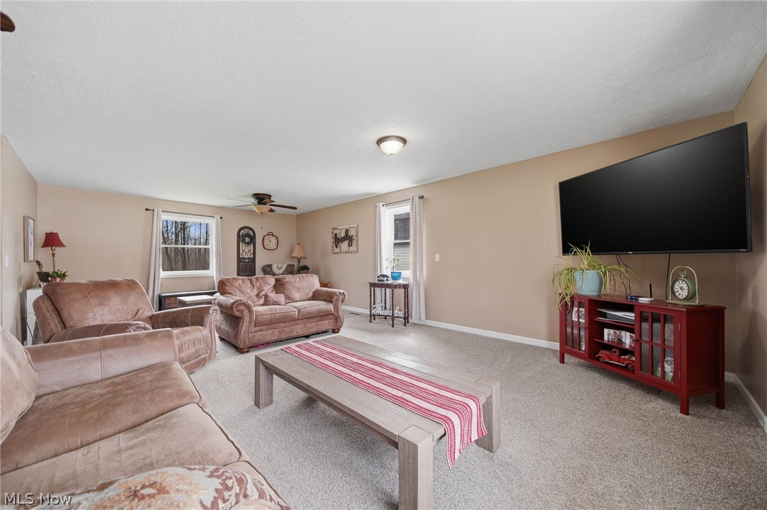 9934 State Route 700 Mantua OH 44255