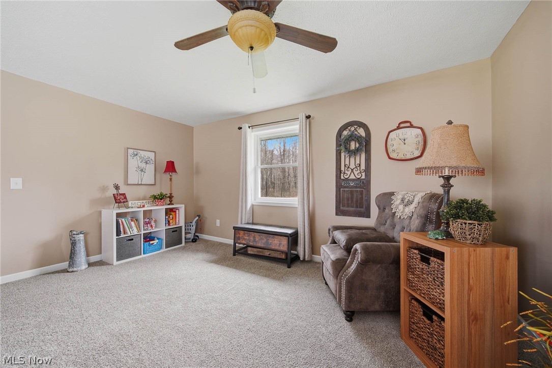 9934 State Route 700 Mantua OH 44255