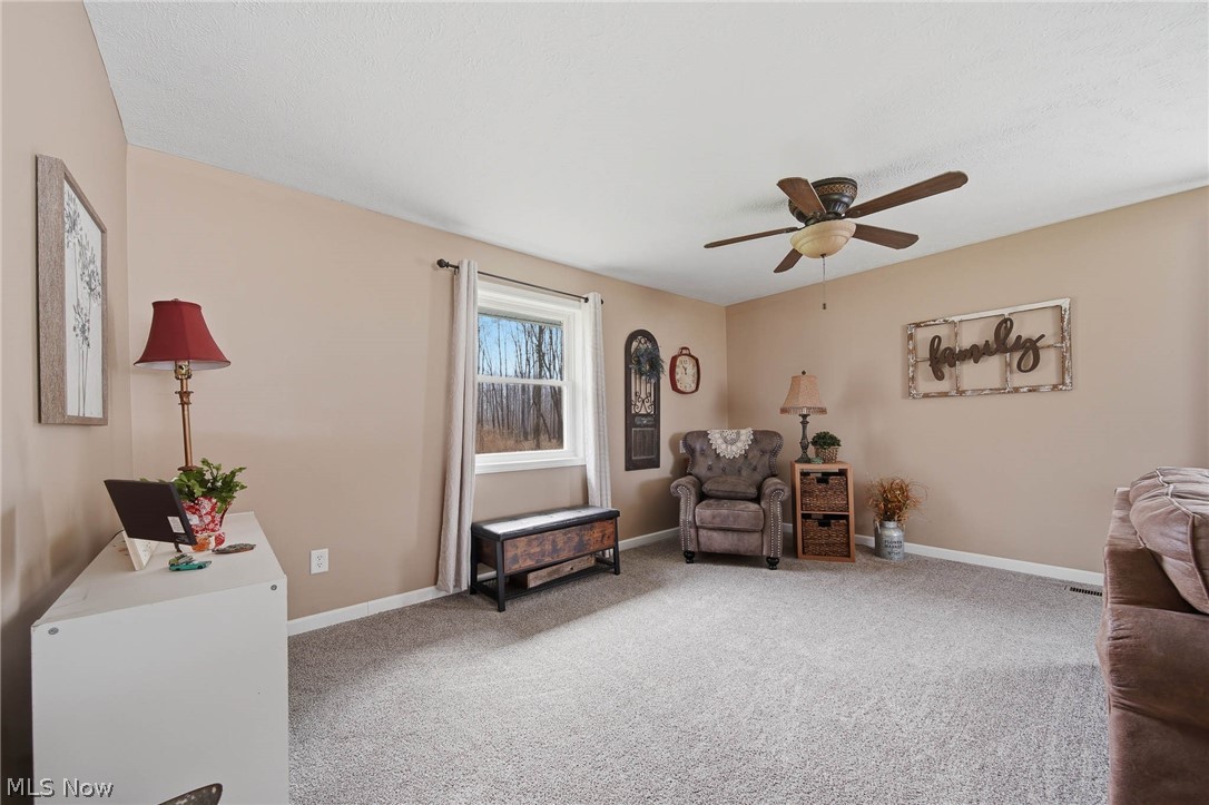 9934 State Route 700 Mantua OH 44255