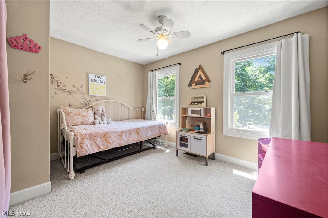 8884 Lake In The Woods Trail Chagrin Falls OH 44023