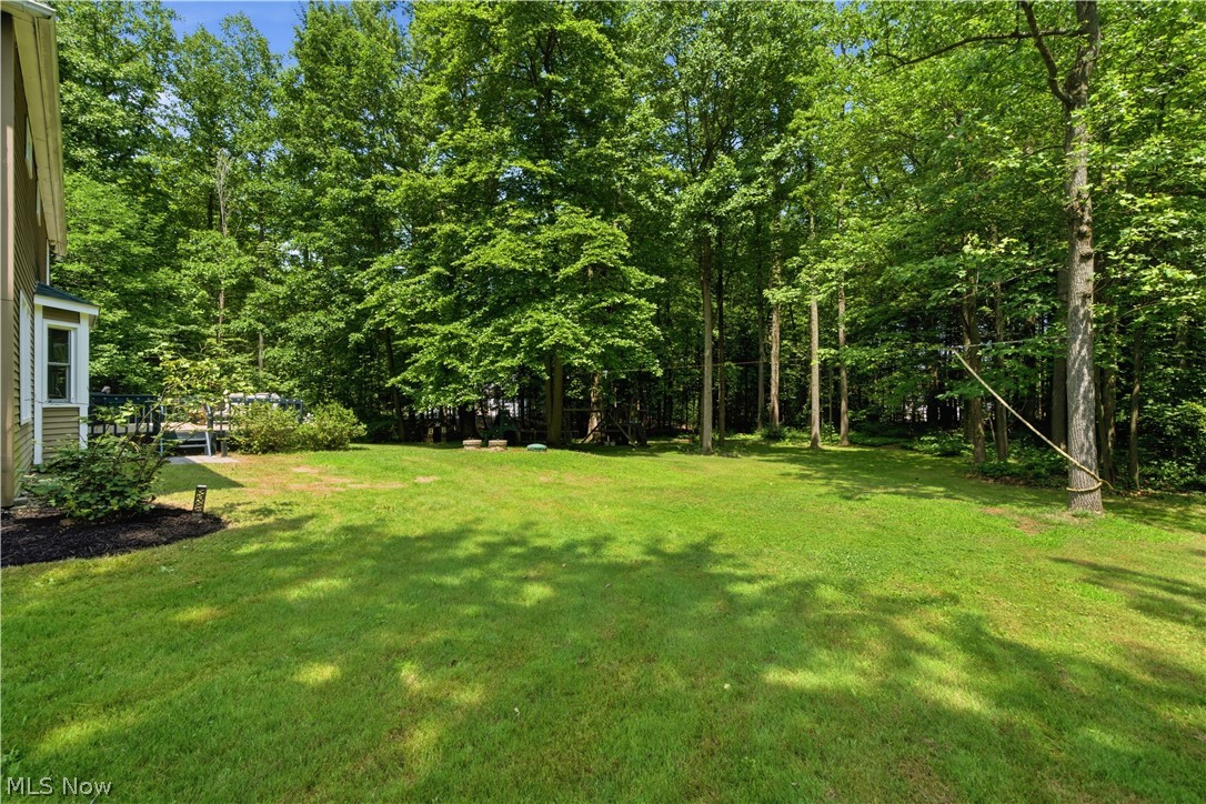 8884 Lake In The Woods Trail Chagrin Falls OH 44023