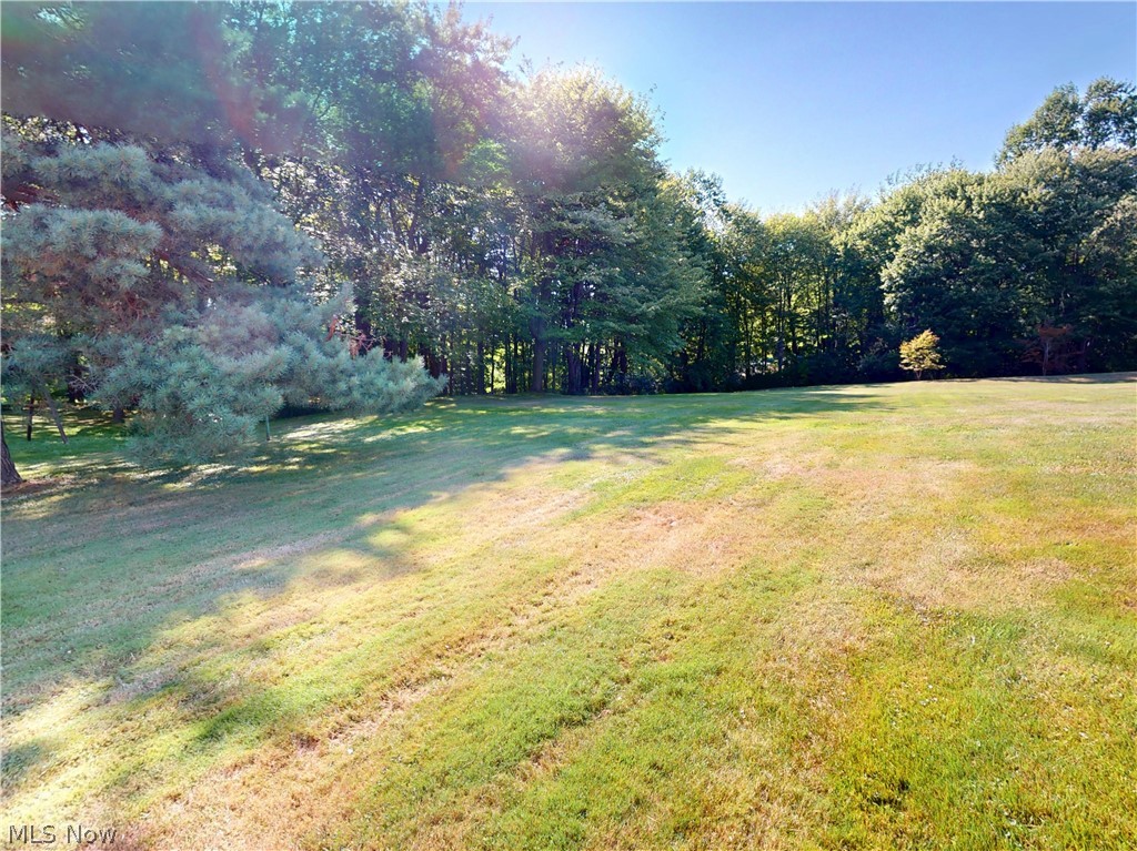 7342 Williams Road Painesville OH 44077