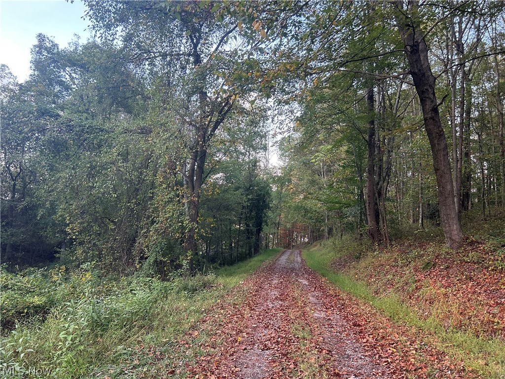 8188 Dozer Road Cambridge OH 43725
