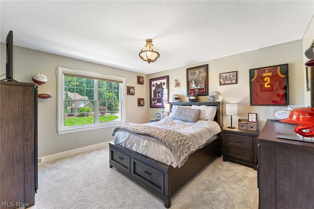 1325 Fox Den Trail Canfield OH 44406