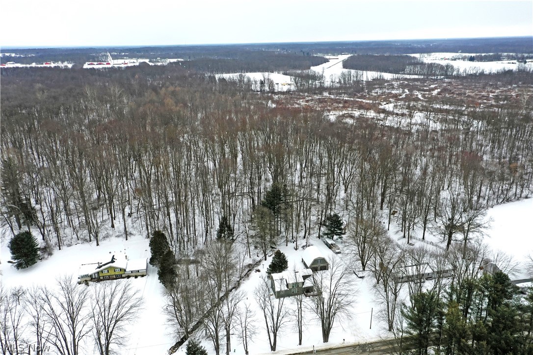 3894 Nelson Mosier Road Leavittsburg OH 44430