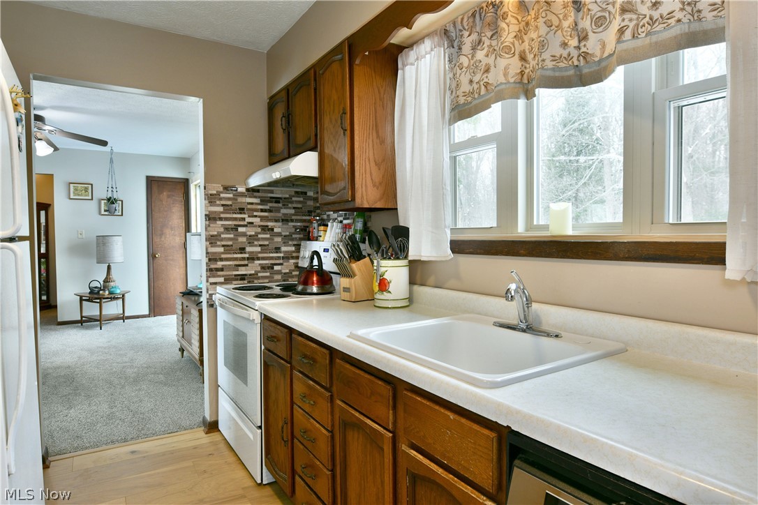 3894 Nelson Mosier Road Leavittsburg OH 44430