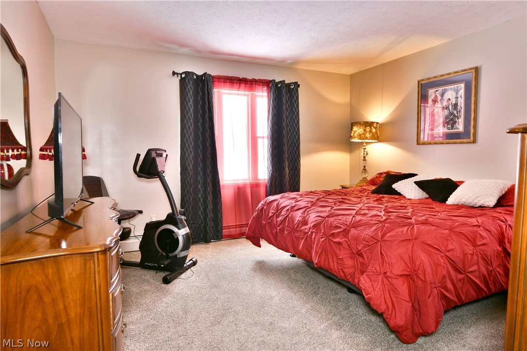 3894 Nelson Mosier Road Leavittsburg OH 44430