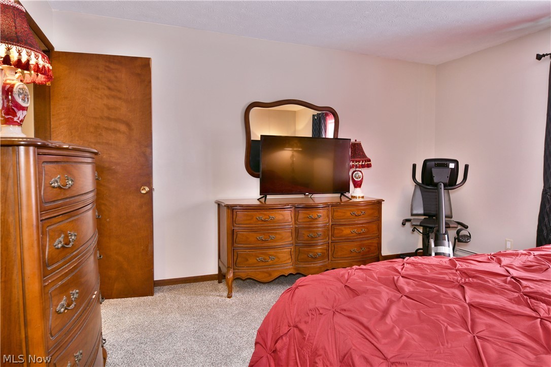 3894 Nelson Mosier Road Leavittsburg OH 44430