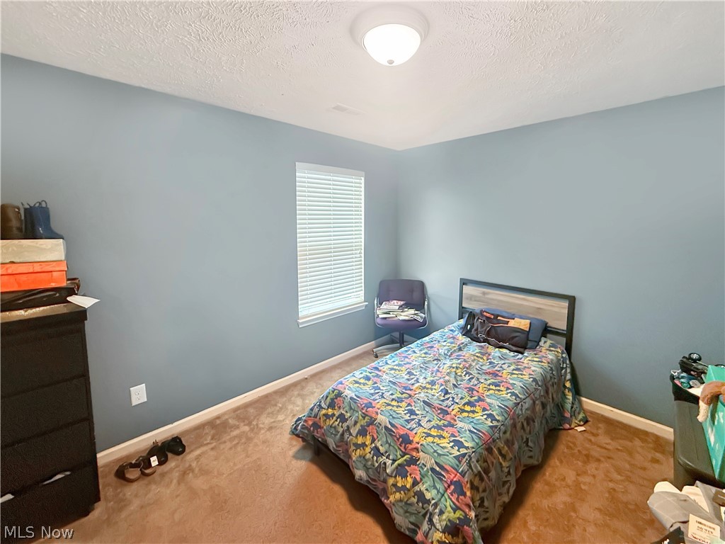 6138 E Meadow Farm Lane Lorain OH 44053